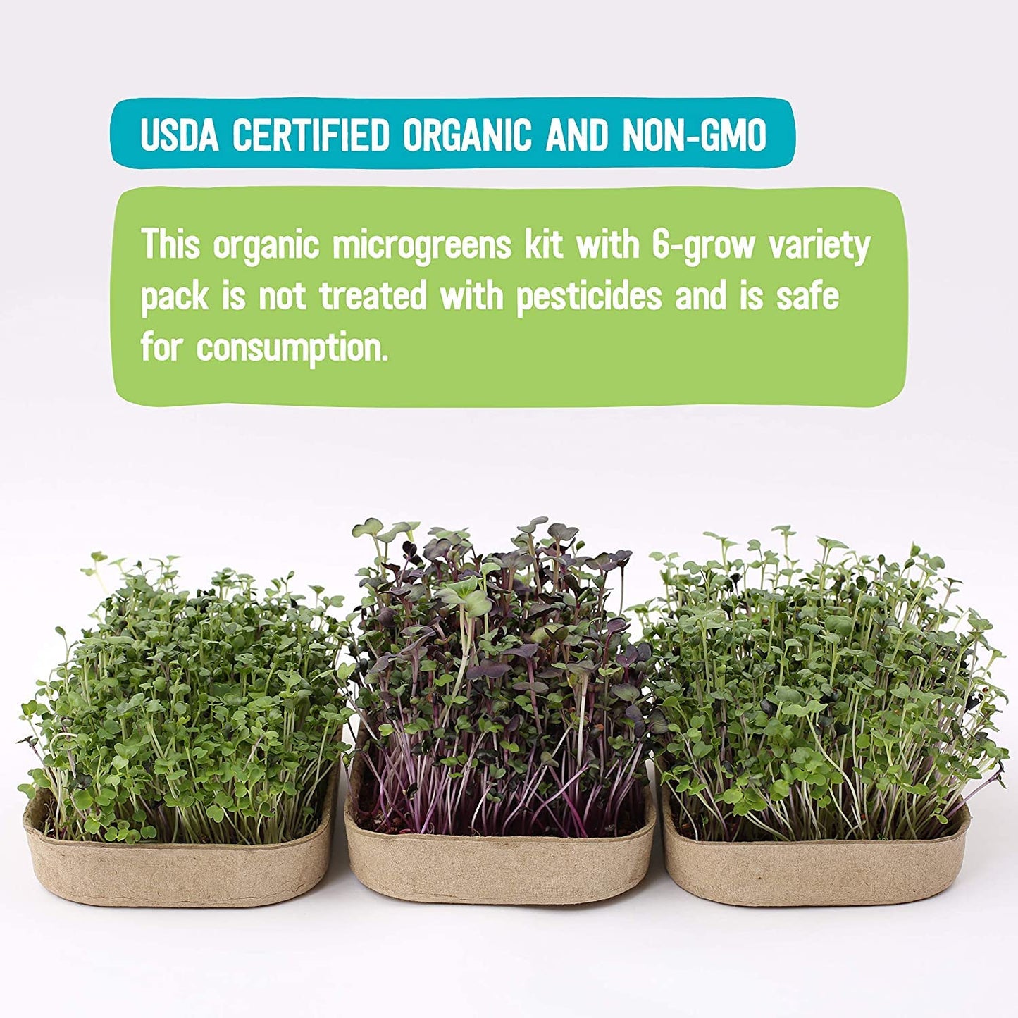 Back to the Roots Indoor Herb Garden Starter Kit, Basil, Mint and Cilantro - Includes seeds, soil and biochar