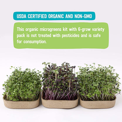 Back to the Roots Indoor Herb Garden Starter Kit, Basil, Mint and Cilantro - Includes seeds, soil and biochar