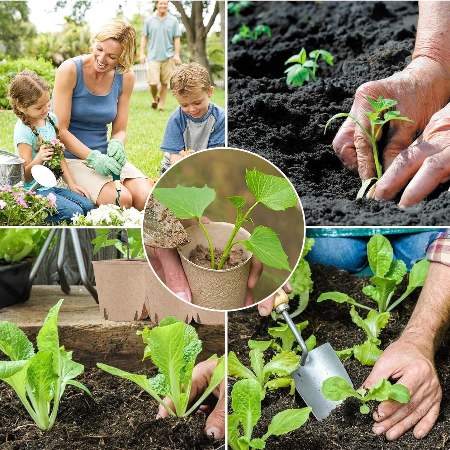 120 Cells Seed Starter Tray, 10 Packs Biodegradable Peat Pots for Seedlings, Organic Germination Plant Starter Kit with 100 Labels and 2 Transplant Tools
