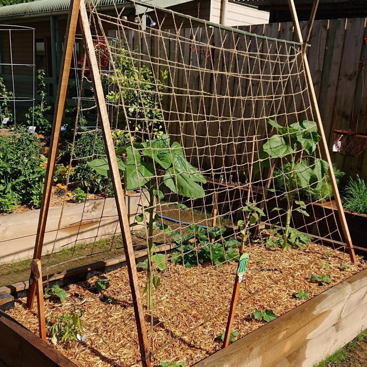 Plant Support Netting - Biodegradable Natural Jute Net for Garden Climbing Vining Plants Cucumber, Vine, Fruits & Vegetables Tomato (6.6 Ft x 16.4 Ft, 5.9 Inch Squares)