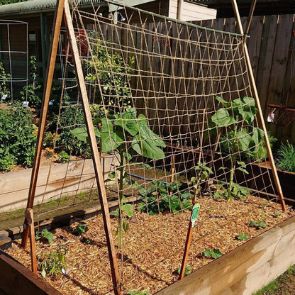 Plant Support Netting - Biodegradable Natural Jute Net for Garden Climbing Vining Plants Cucumber, Vine, Fruits & Vegetables Tomato (6.6 Ft x 16.4 Ft, 5.9 Inch Squares)
