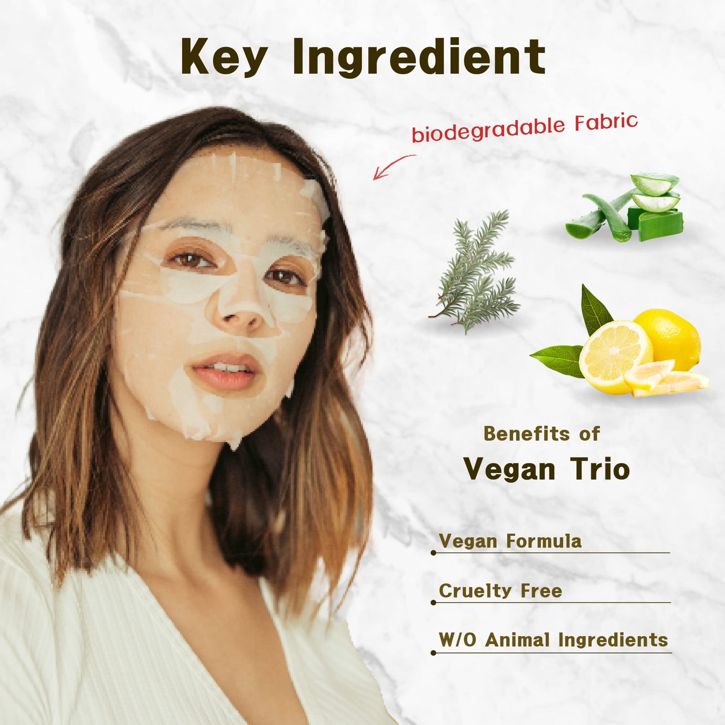 Purederm Vegan Aloe Sheet Masks (12 Packs) – Facial Sheet Mask for Soothing & Hydrating Treatment