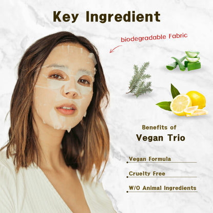 Purederm Vegan Aloe Sheet Masks (12 Packs) – Facial Sheet Mask for Soothing & Hydrating Treatment