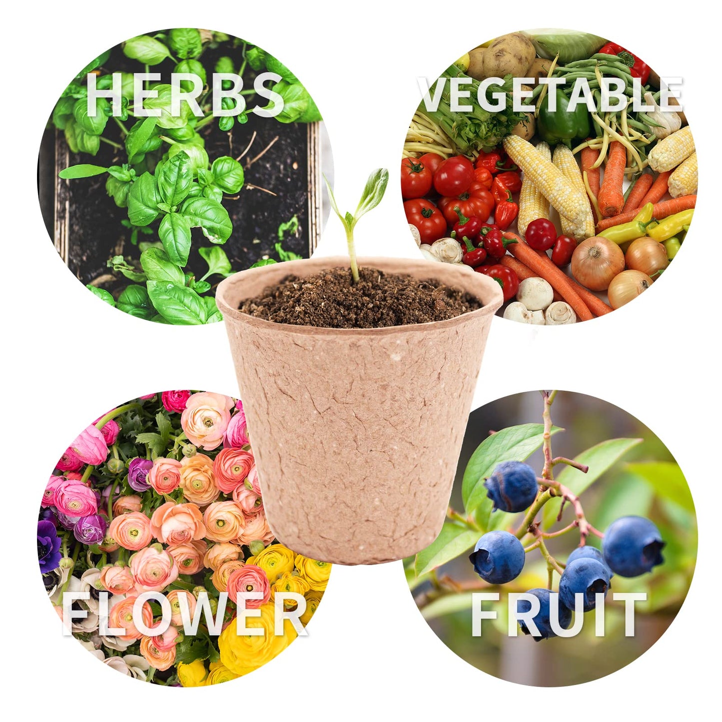 3T GROUP 50 Pcs 3 Inch Small Compostable Plant Pots,Disposable Flower Pots,Biodegradable Pots for Plant,Mini Seed Pots,Planting Pots,Peat Pot,Seeding Pots with Labels for Vegetables,Fruits,Garden