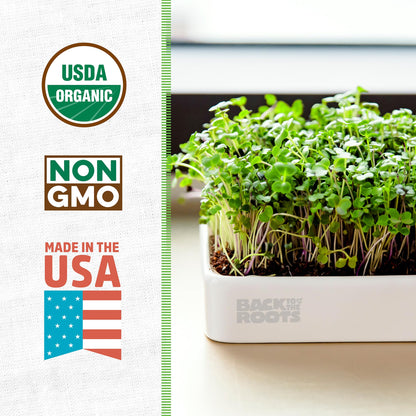 Back to the Roots Indoor Herb Garden Starter Kit, Basil, Mint and Cilantro - Includes seeds, soil and biochar