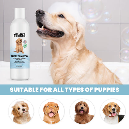 Puppy Shampoo & Conditioner | Made in USA | Organic Ingredients | Tear Free | Best Shampoo for Puppies | Sensitive & Itchy Skin Wash | Oatmeal Bathing | Tearless, Ocean Breeze, 8oz [We Love Doodles]