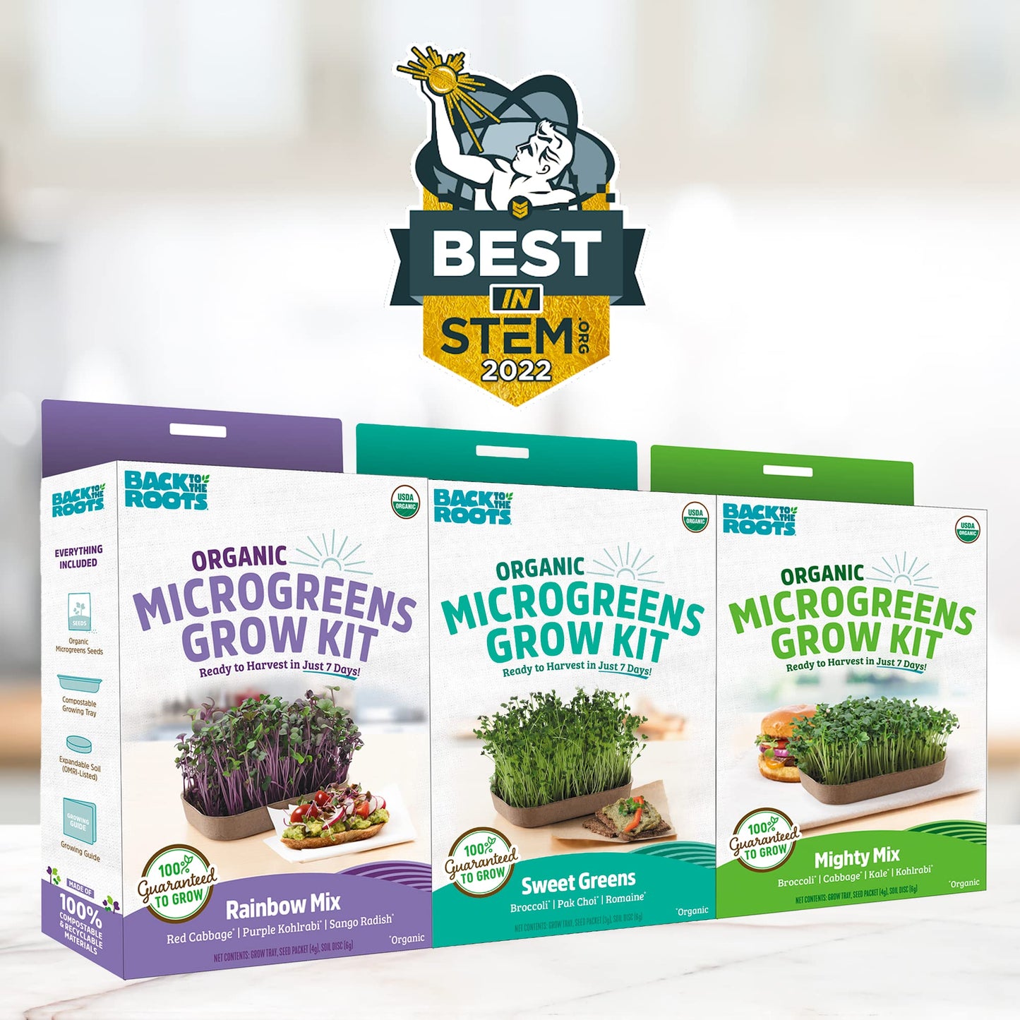 Back to the Roots Indoor Herb Garden Starter Kit, Basil, Mint and Cilantro - Includes seeds, soil and biochar