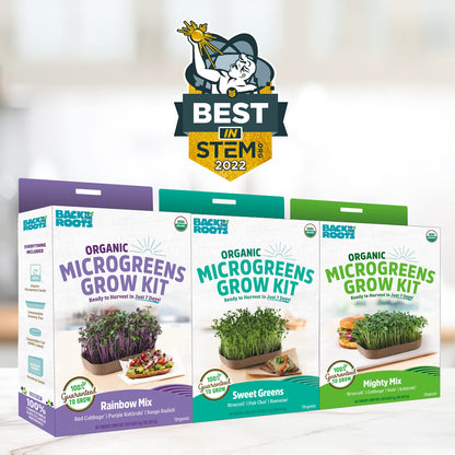 Back to the Roots Indoor Herb Garden Starter Kit, Basil, Mint and Cilantro - Includes seeds, soil and biochar