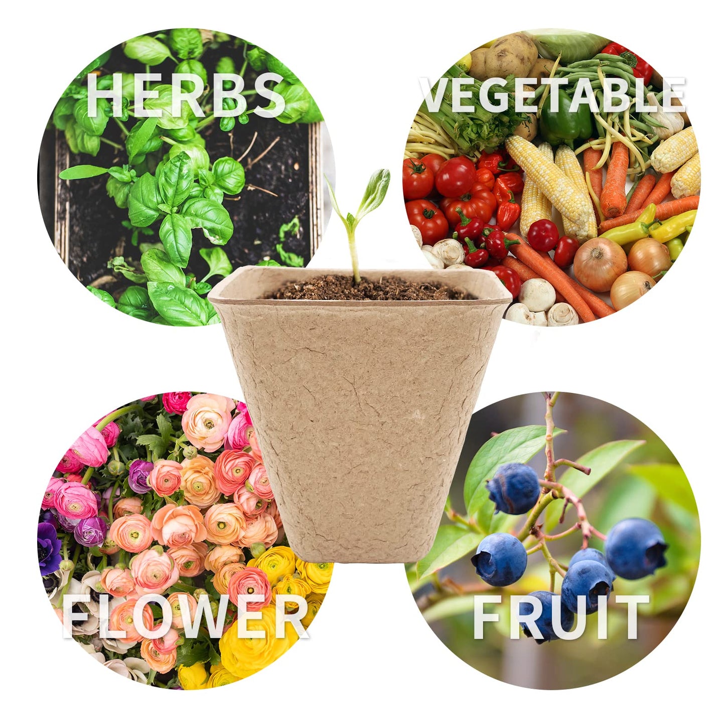 3T GROUP 50 Pcs 3 Inch Small Compostable Plant Pots,Disposable Flower Pots,Biodegradable Pots for Plant,Mini Seed Pots,Planting Pots,Peat Pot,Seeding Pots with Labels for Vegetables,Fruits,Garden