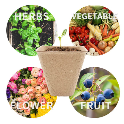 3T GROUP 50 Pcs 3 Inch Small Compostable Plant Pots,Disposable Flower Pots,Biodegradable Pots for Plant,Mini Seed Pots,Planting Pots,Peat Pot,Seeding Pots with Labels for Vegetables,Fruits,Garden