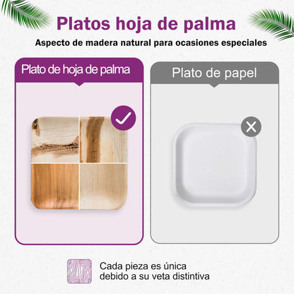 Waipur Platos Hoja de Palma Orgánicos - 25 Platos Desechables Cuadrados 25x25 cm -