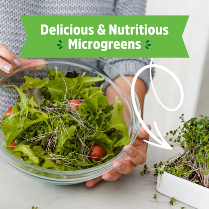 Back to the Roots Indoor Herb Garden Starter Kit, Basil, Mint and Cilantro - Includes seeds, soil and biochar