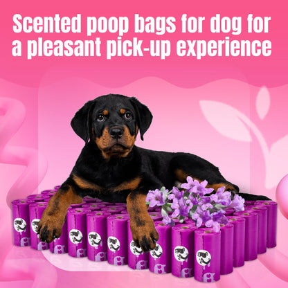 Pet N Pet Poop Bags for Dogs, 288 Counts Lavender Scented Dog Poop Bags Rolls with Leash Dispenser, USDA Certified 38% Plant Based & 62% PE Dogs Waste Bag, Doggie Poo Bag