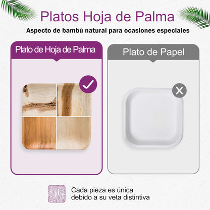 Waipur Platos Hoja de Palma Orgánicos - 25 Platos Desechables Cuadrados 25x25 cm -