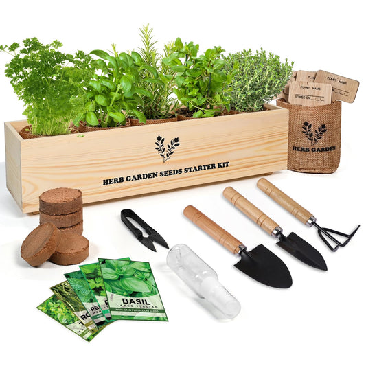 Indoor Herb Grow Kit, 5 Seeds Garden Starter Kit with Complete Planting & Wooden Flower Box, Growing into Basil, Parsley, Rosemary, Thyme, Mint for Kitchen Windowsill DIY