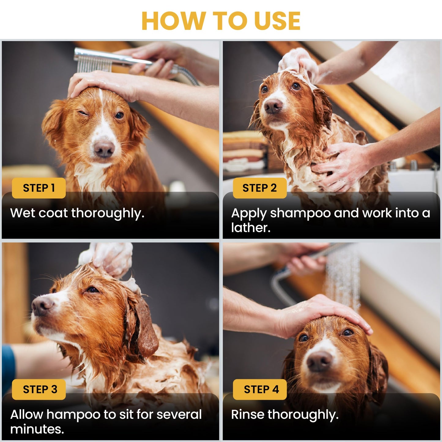 Puppy Shampoo & Conditioner | Made in USA | Organic Ingredients | Tear Free | Best Shampoo for Puppies | Sensitive & Itchy Skin Wash | Oatmeal Bathing | Tearless, Ocean Breeze, 8oz [We Love Doodles]