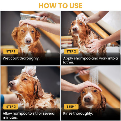 Puppy Shampoo & Conditioner | Made in USA | Organic Ingredients | Tear Free | Best Shampoo for Puppies | Sensitive & Itchy Skin Wash | Oatmeal Bathing | Tearless, Ocean Breeze, 8oz [We Love Doodles]