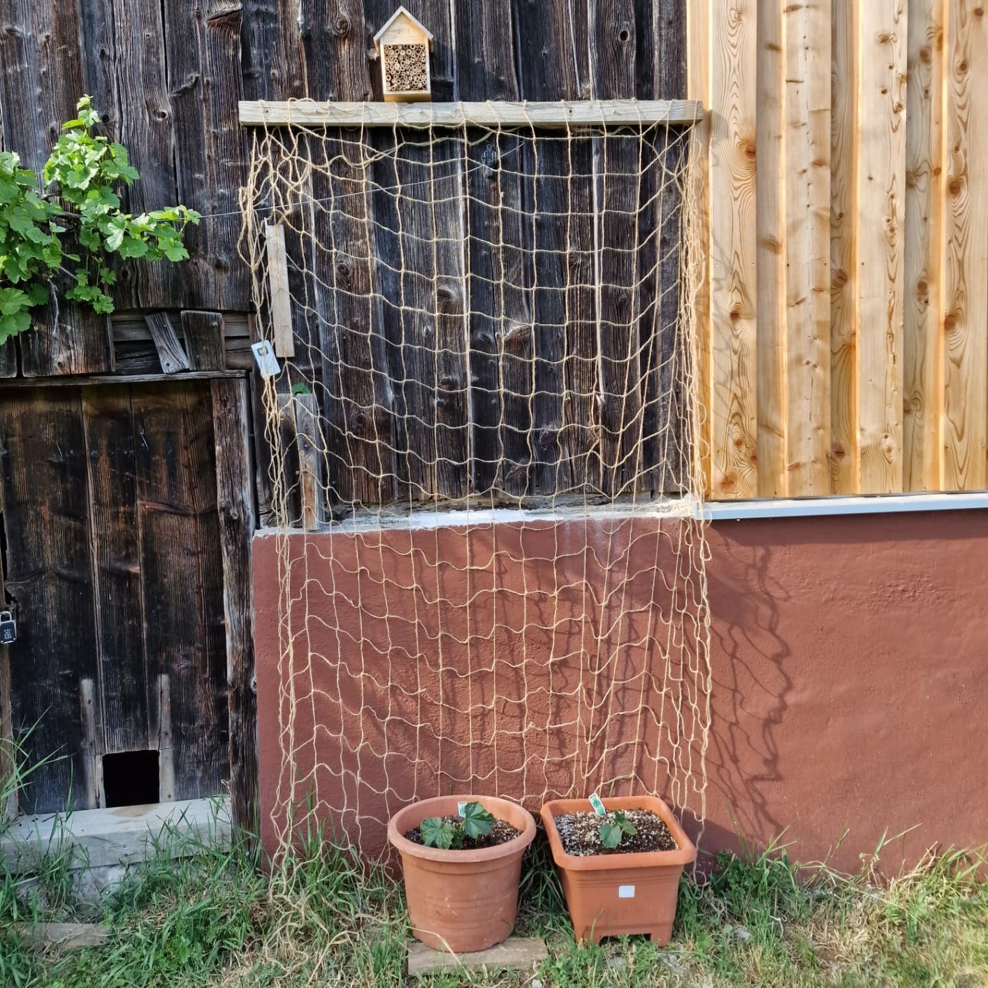 Plant Support Netting - Biodegradable Natural Jute Net for Garden Climbing Vining Plants Cucumber, Vine, Fruits & Vegetables Tomato (6.6 Ft x 16.4 Ft, 5.9 Inch Squares)