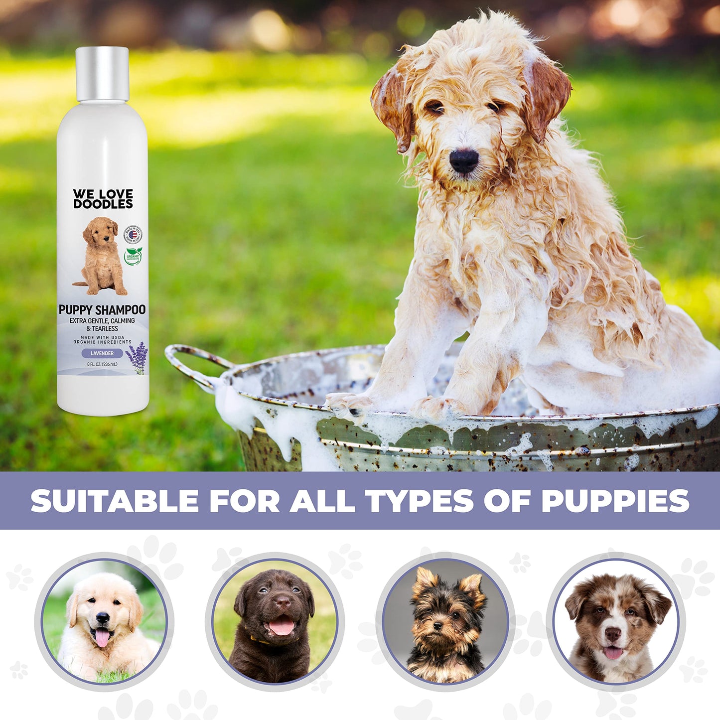 Puppy Shampoo & Conditioner | Made in USA | Organic Ingredients | Tear Free | Best Shampoo for Puppies | Sensitive & Itchy Skin Wash | Oatmeal Bathing | Tearless, Ocean Breeze, 8oz [We Love Doodles]