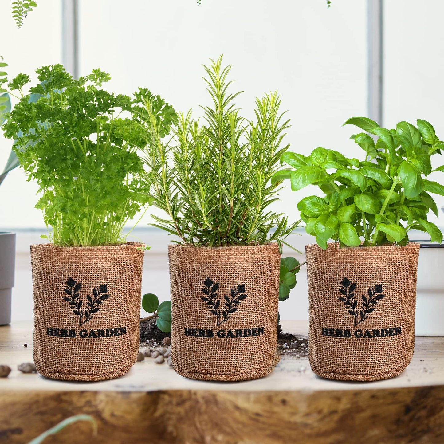 Indoor Herb Grow Kit, 5 Seeds Garden Starter Kit with Complete Planting & Wooden Flower Box, Growing into Basil, Parsley, Rosemary, Thyme, Mint for Kitchen Windowsill DIY