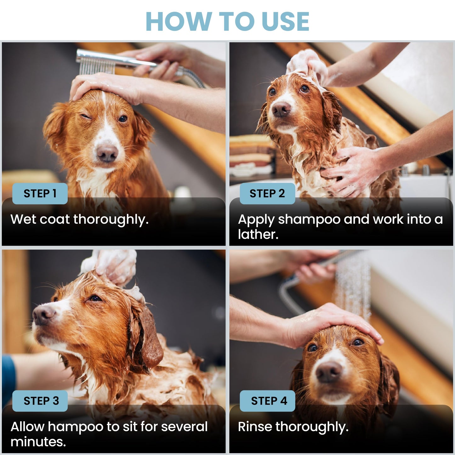 Puppy Shampoo & Conditioner | Made in USA | Organic Ingredients | Tear Free | Best Shampoo for Puppies | Sensitive & Itchy Skin Wash | Oatmeal Bathing | Tearless, Ocean Breeze, 8oz [We Love Doodles]