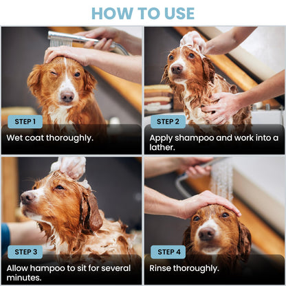 Puppy Shampoo & Conditioner | Made in USA | Organic Ingredients | Tear Free | Best Shampoo for Puppies | Sensitive & Itchy Skin Wash | Oatmeal Bathing | Tearless, Ocean Breeze, 8oz [We Love Doodles]