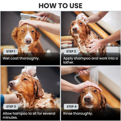 Puppy Shampoo & Conditioner | Made in USA | Organic Ingredients | Tear Free | Best Shampoo for Puppies | Sensitive & Itchy Skin Wash | Oatmeal Bathing | Tearless, Ocean Breeze, 8oz [We Love Doodles]