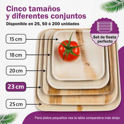Waipur Platos Hoja de Palma Orgánicos - 25 Platos Desechables Cuadrados 25x25 cm -