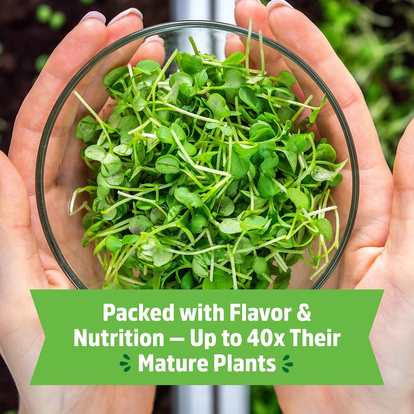 Back to the Roots Indoor Herb Garden Starter Kit, Basil, Mint and Cilantro - Includes seeds, soil and biochar