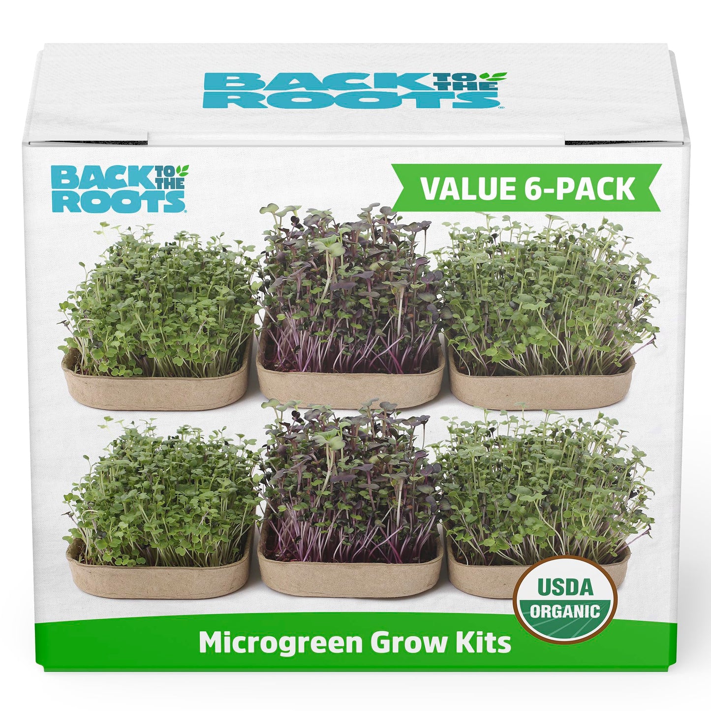 Back to the Roots Indoor Herb Garden Starter Kit, Basil, Mint and Cilantro - Includes seeds, soil and biochar