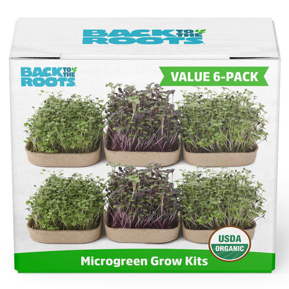 Back to the Roots Indoor Herb Garden Starter Kit, Basil, Mint and Cilantro - Includes seeds, soil and biochar