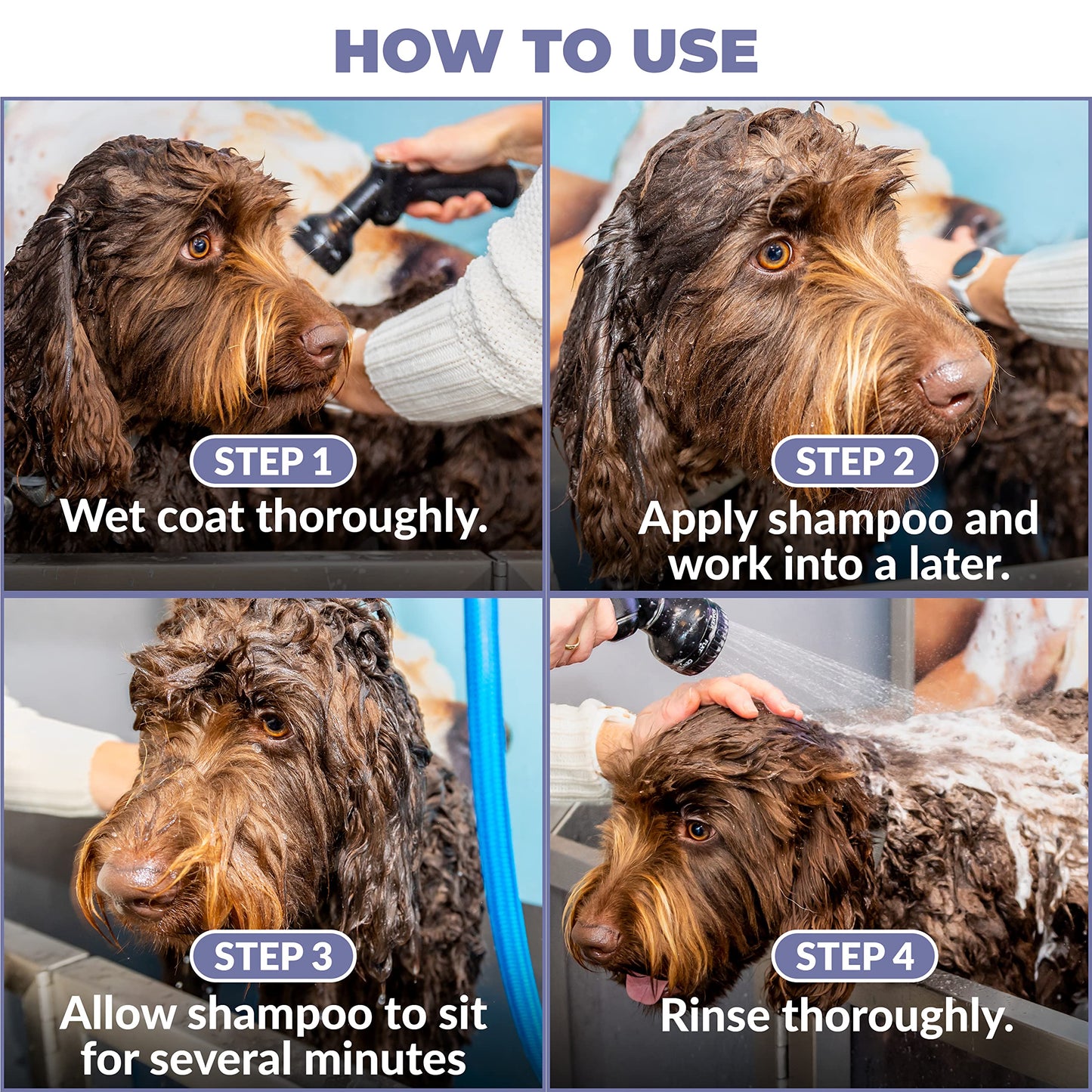 Puppy Shampoo & Conditioner | Made in USA | Organic Ingredients | Tear Free | Best Shampoo for Puppies | Sensitive & Itchy Skin Wash | Oatmeal Bathing | Tearless, Ocean Breeze, 8oz [We Love Doodles]
