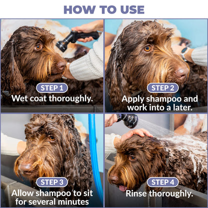 Puppy Shampoo & Conditioner | Made in USA | Organic Ingredients | Tear Free | Best Shampoo for Puppies | Sensitive & Itchy Skin Wash | Oatmeal Bathing | Tearless, Ocean Breeze, 8oz [We Love Doodles]