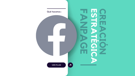 Strategic Creation and Management of a Professional Facebook Fan Page